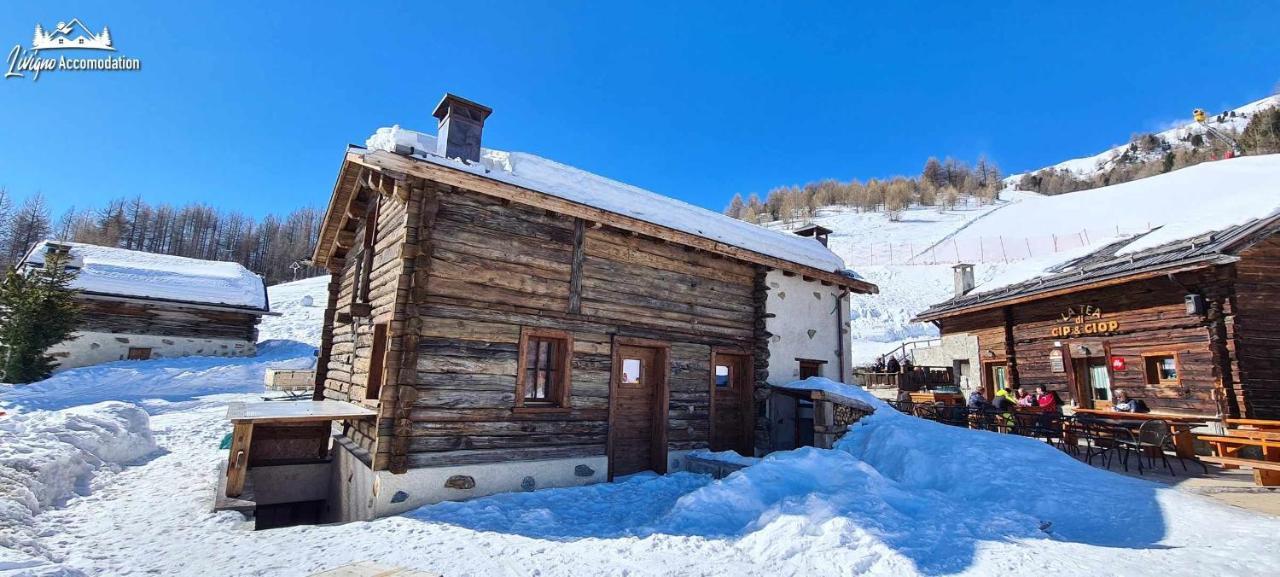 Mountain Chalet Scoiattolo By Livigno Accomodation Exterior foto