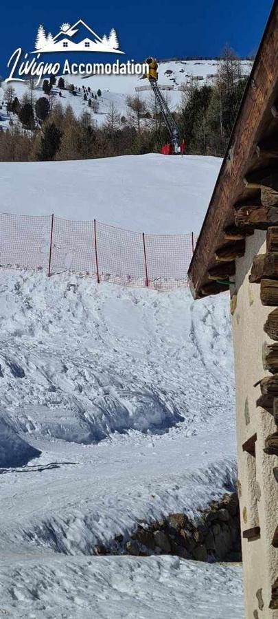 Mountain Chalet Scoiattolo By Livigno Accomodation Exterior foto
