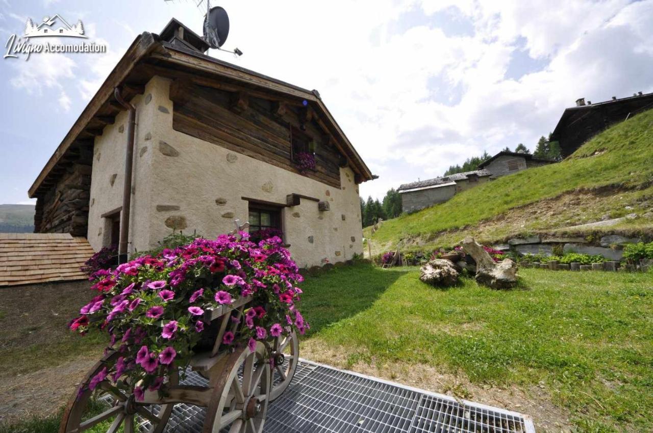 Mountain Chalet Scoiattolo By Livigno Accomodation Exterior foto