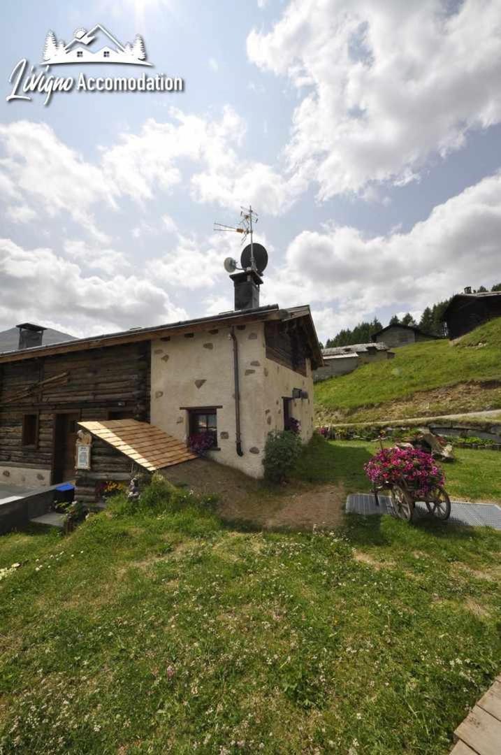 Mountain Chalet Scoiattolo By Livigno Accomodation Exterior foto