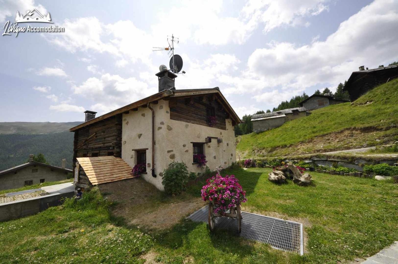 Mountain Chalet Scoiattolo By Livigno Accomodation Exterior foto
